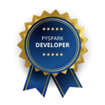 Professional developer II